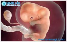 [TPHCM] Phá thai 11 tuần có nguy hiểm không? Thực hiện bằng phương pháp nào an toàn