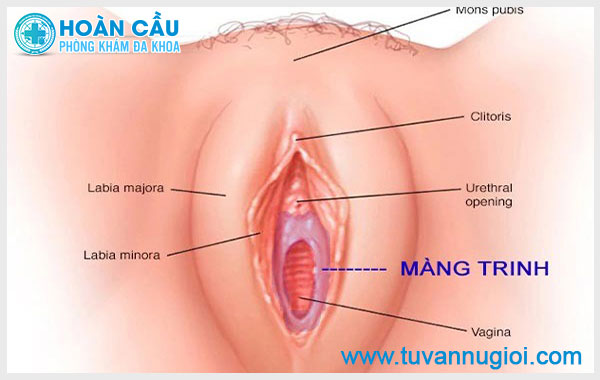 Làm thế nào để quan hệ không mất trinh nhưng vẫn đạt được khoái cảm?