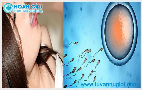 [TP.HCM] Xuất tinh vào miệng mang thai không? Lợi ích và tác hại – ảnh 1
